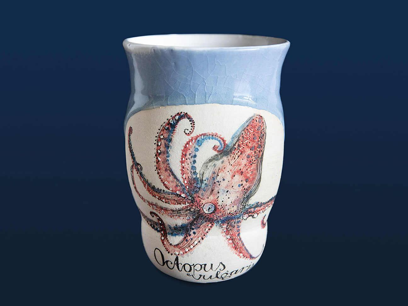 Vase octopus vulgaris