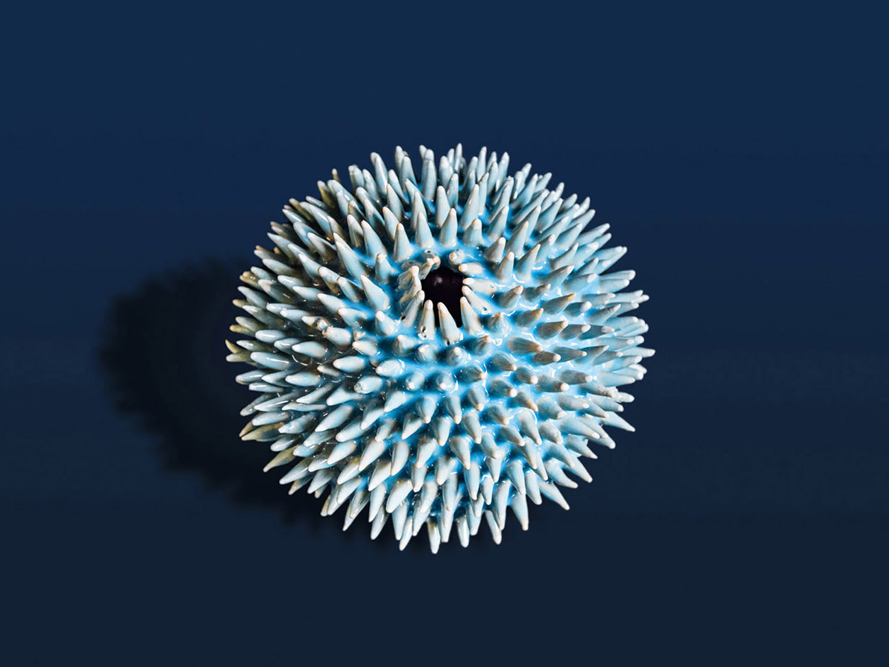 Seeigel